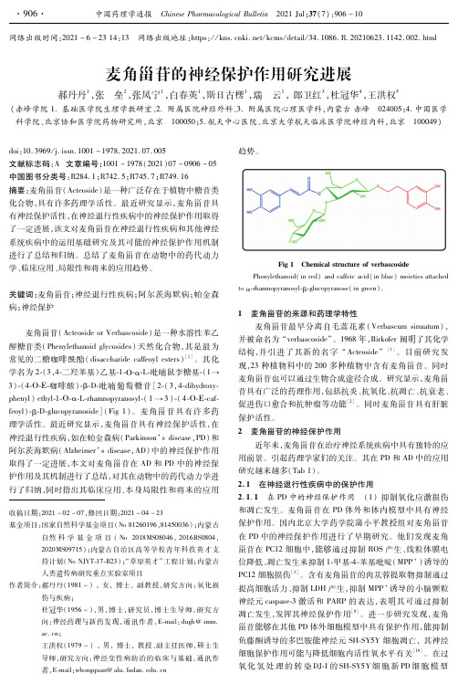 麦角甾苷的神经保护作用研究进展