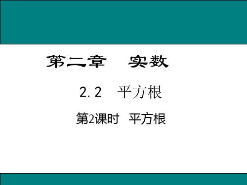 八年级上册数学第二章平方根PPT