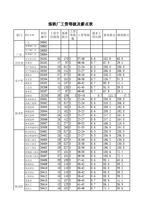 (最新)炼铁厂工资等级及薪点表(精品)