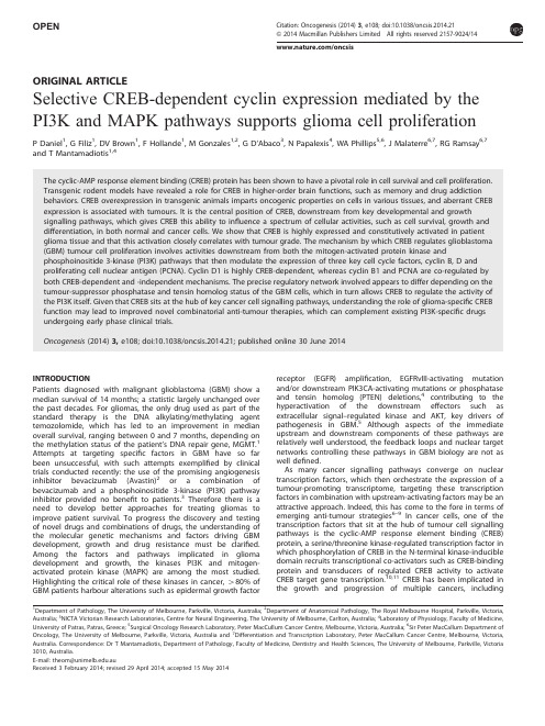 PI3K和MAPK信号通路调节细胞增殖