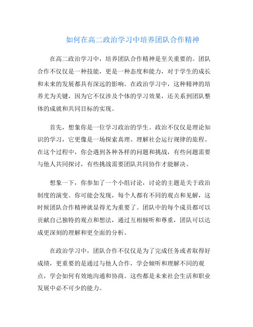 如何在高二政治学习中培养团队合作精神