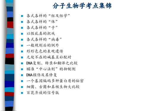 高中生物奥赛课件-分子生物学要点归纳总结奥赛培训