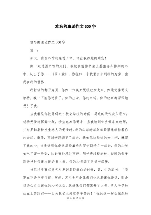 难忘的邂逅作文600字