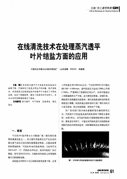 在线清洗技术在处理蒸汽透平叶片结盐方面的应用