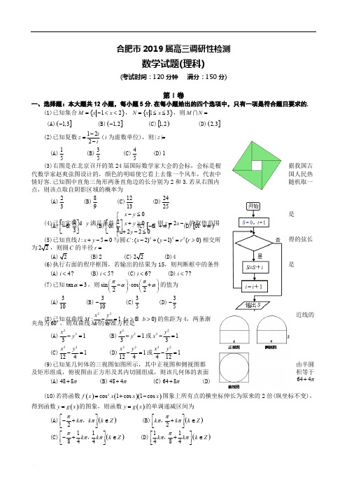 合肥市2019届高三调研性检测数学试题-理科含答案