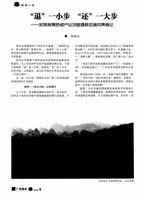 “退”一小步  “还”一大步——武鸣发展后续产业巩固退耕还林成果侧记