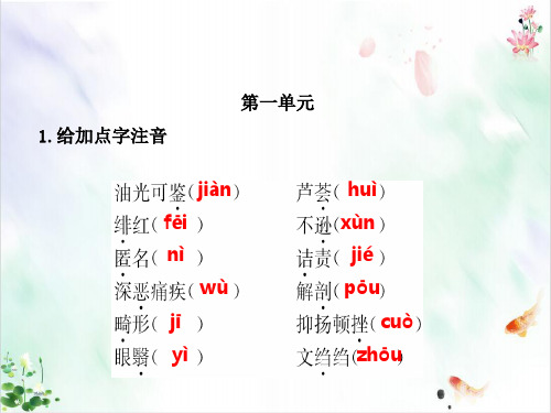 人教版中考语文总复习年级课件16