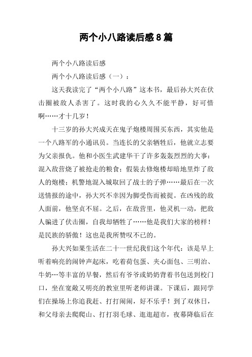 两个小八路读后感8篇