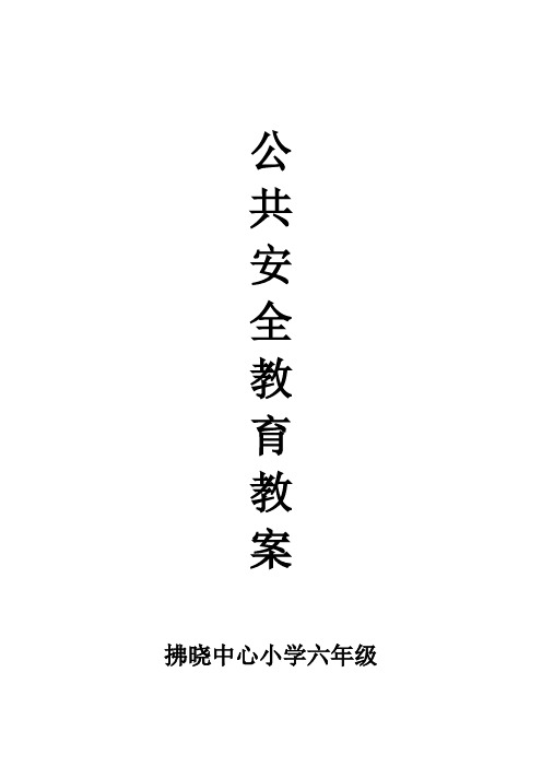 拂晓小学公共安全教育教案