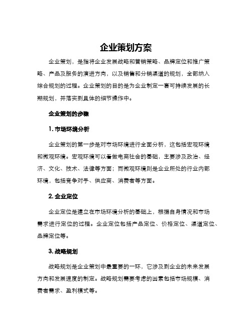 企业策划方案