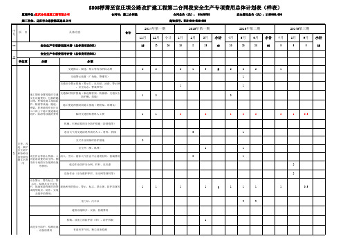 安全生产专项费用总体计划表(样表)