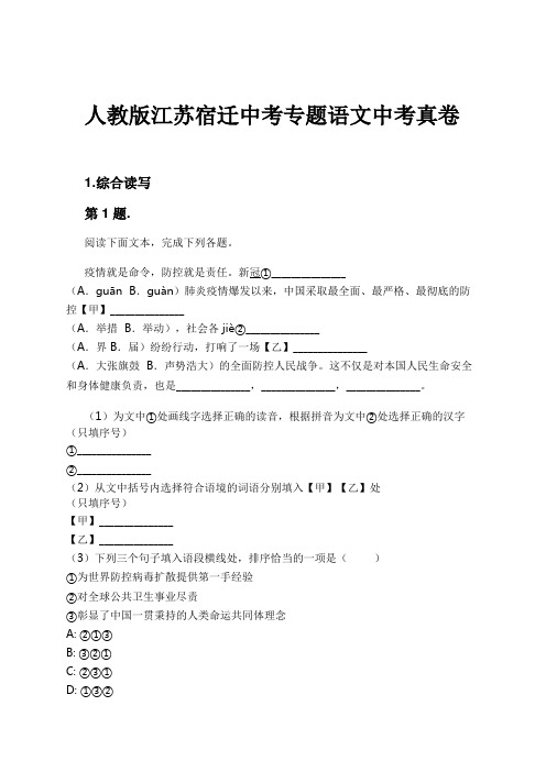 人教版江苏宿迁中考专题语文中考真卷试卷及解析