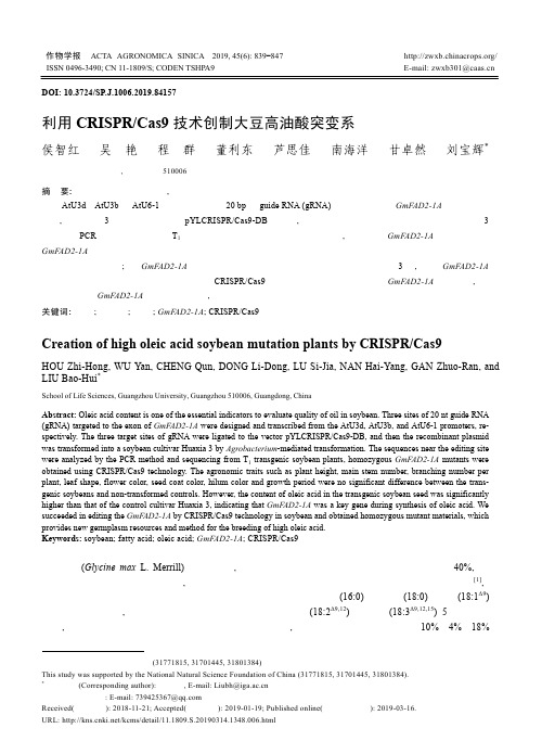 利用CRISPR/Cas9技术创制大豆高油酸突变系