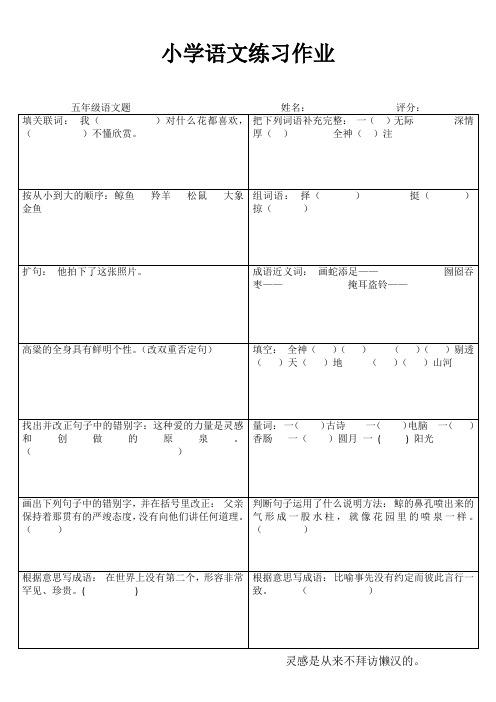 小学五年级语文自我提高III (42)