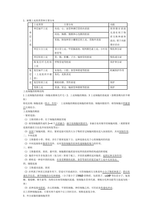 组织学与胚胎学重点