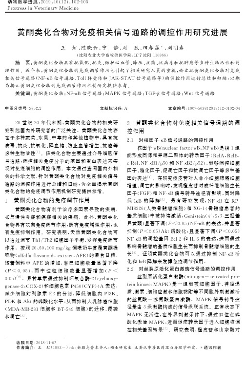 黄酮类化合物对免疫相关信号通路的调控作用研究进展