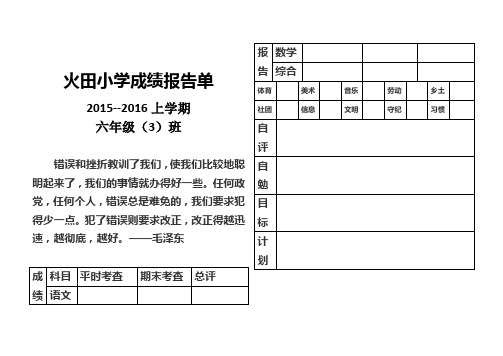 火田小学成绩报告单