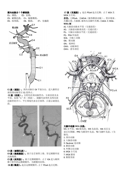 (完整版)脑血管解剖及分段详解