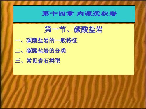 (完整版)《岩石学》第14章内源沉积岩