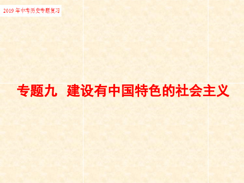 2019年中考历史专题复习专题九建设有中国特色的社会主义