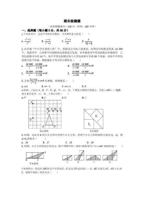 八年级数学上册期末试题及答案解析