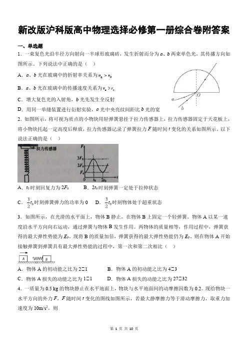 新改版沪科版高中物理选择必修第一册综合卷附答案