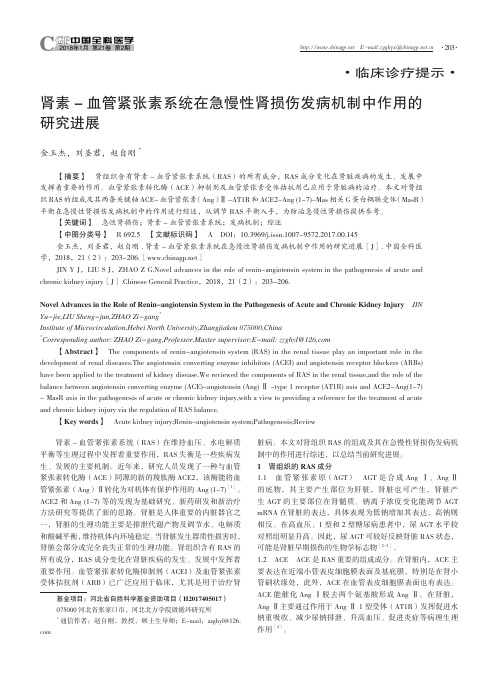 肾素-血管紧张素系统在急慢性肾损伤发病机制中作用的研究进展