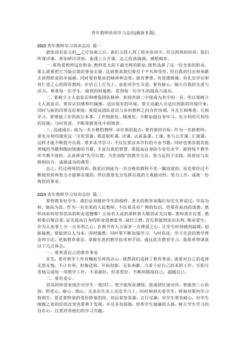 青年教师培训学习总结(最新5篇)