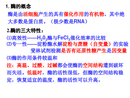 高中生物必修一第五章细胞的能量供应和利用复习课件