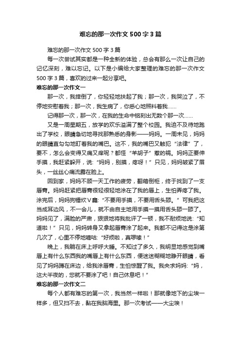 难忘的那一次作文500字3篇