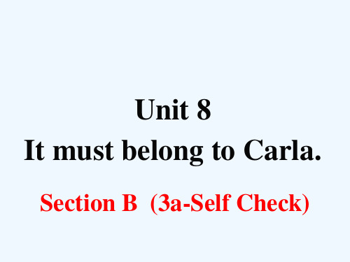 九年级英语全册Unit8ItmustbelongtoCarlaSectionB(3a_SelfChe