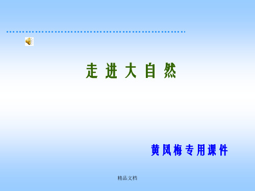 小学一年级上册语文第三课小小竹排画中游PPT课件