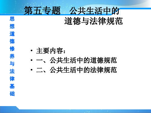 思修第五专题 公共生活中的道德与法律规范