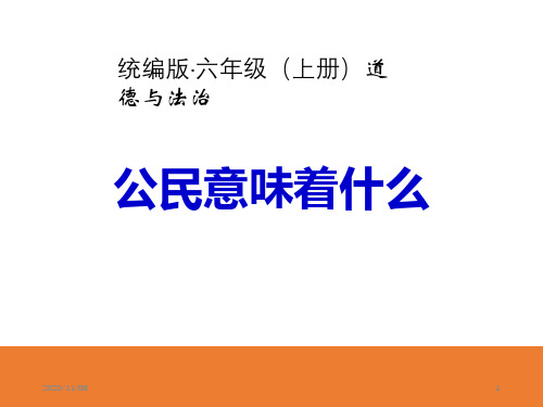 人教版部编版六年级上册道德与法治 《公民意味着什么》我们是公民PPT教学课件