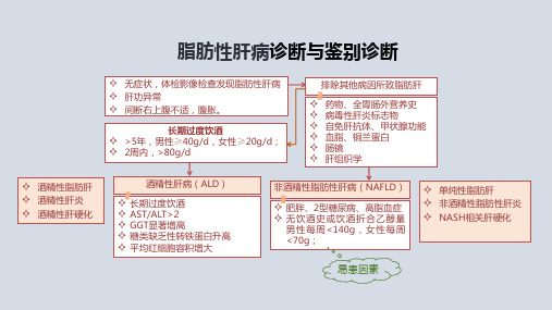 脂肪性肝病诊断与鉴别诊断(流程图)