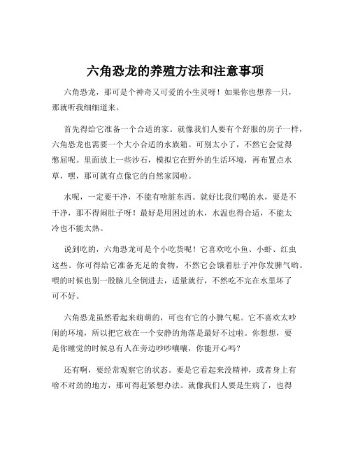 六角恐龙的养殖方法和注意事项