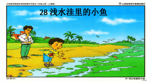 二年级语文上《识字728 浅水洼里的小鱼》26PPT课件 一等奖名师公开课比赛优质课评比试讲