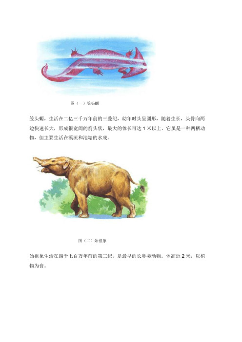 古生物图谱