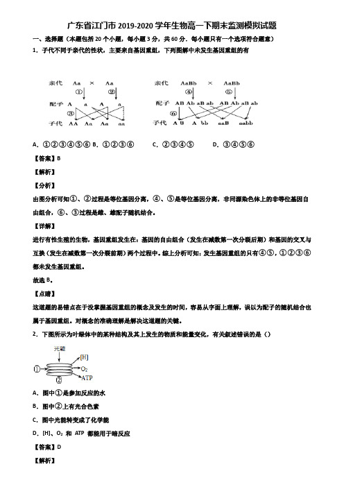 广东省江门市2019-2020学年生物高一下期末监测模拟试题含解析