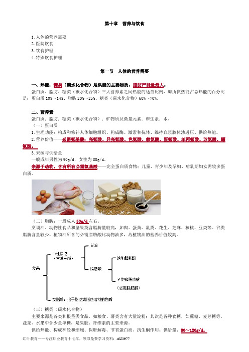 初级护师基础护理学知识点总结10营养与饮食