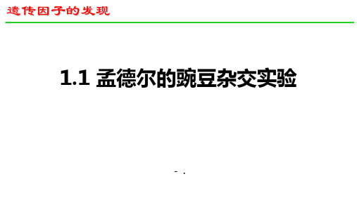 《孟德尔的豌豆杂交实验(一)》遗传因子的发现PPT课件