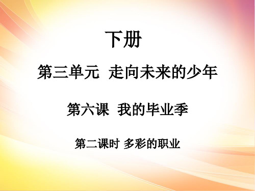 人教部编版九年级道德与法治下册课件第六课 第二课时(共22张PPT)