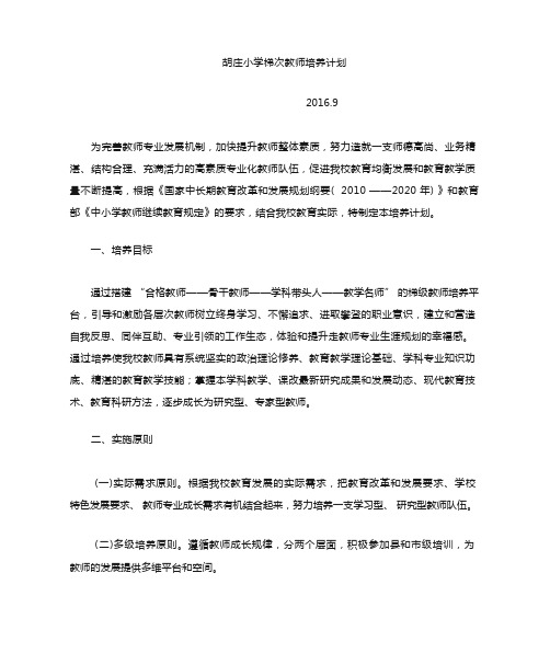 梯级教师培养计划