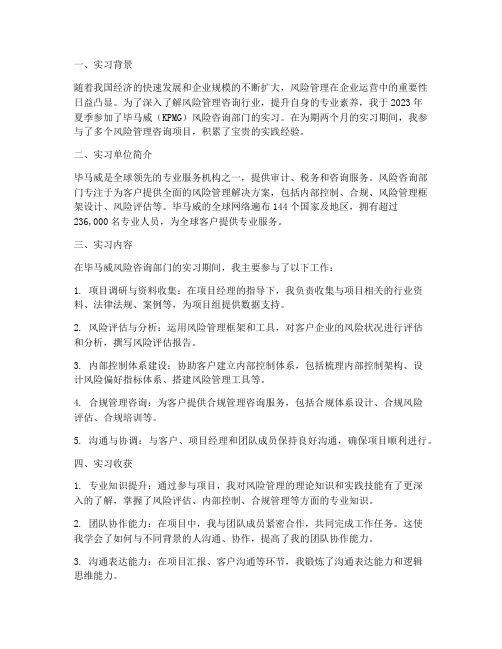 毕马威风险咨询实习报告