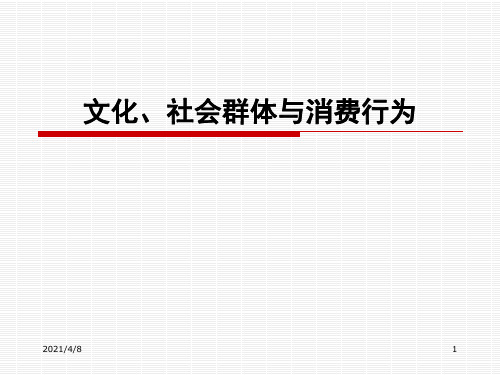 文化、群体与消费PPT课件