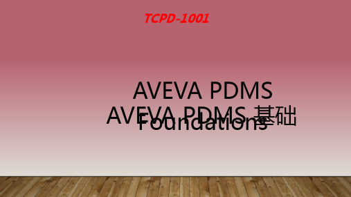 PDMS 设备建模基础