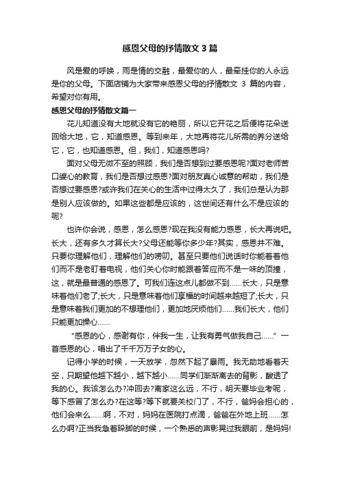 感恩父母的抒情散文3篇