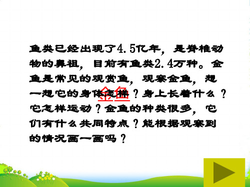 教科版三年级科学上册《金鱼》精品课件