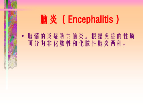 兽医病理学病理解剖课件 第8章系统病理学：第二节脑炎