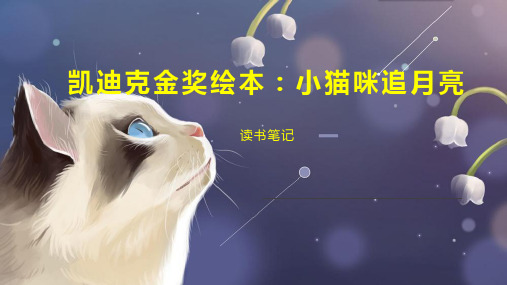 凯迪克金奖绘本：小猫咪追月亮